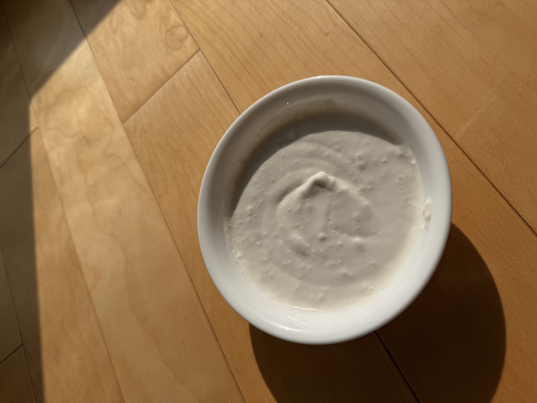Coconut L. reuteri yogurt in a white bowl